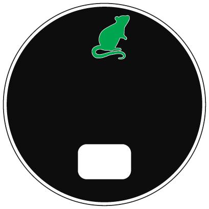 Custom Design Preview