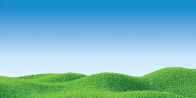 Custom Design Preview