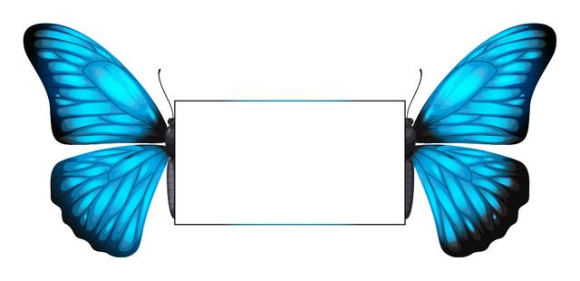 Custom Design Preview