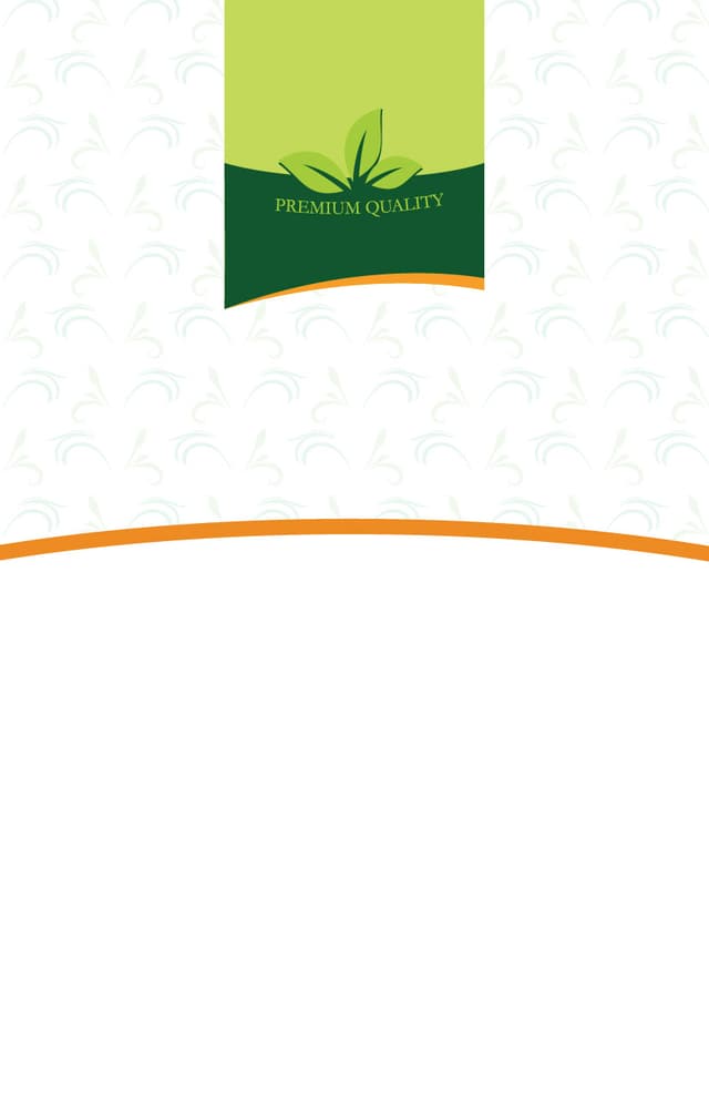  - Belakang Preview 3