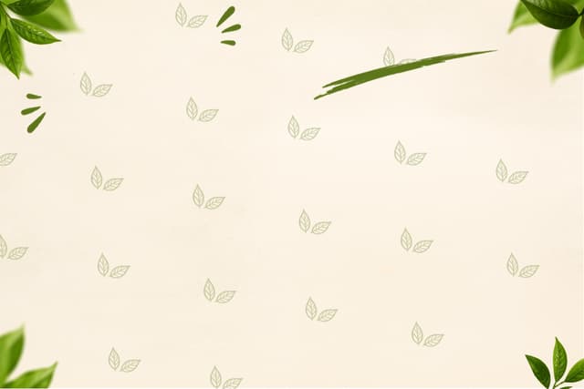 Back Preview 3