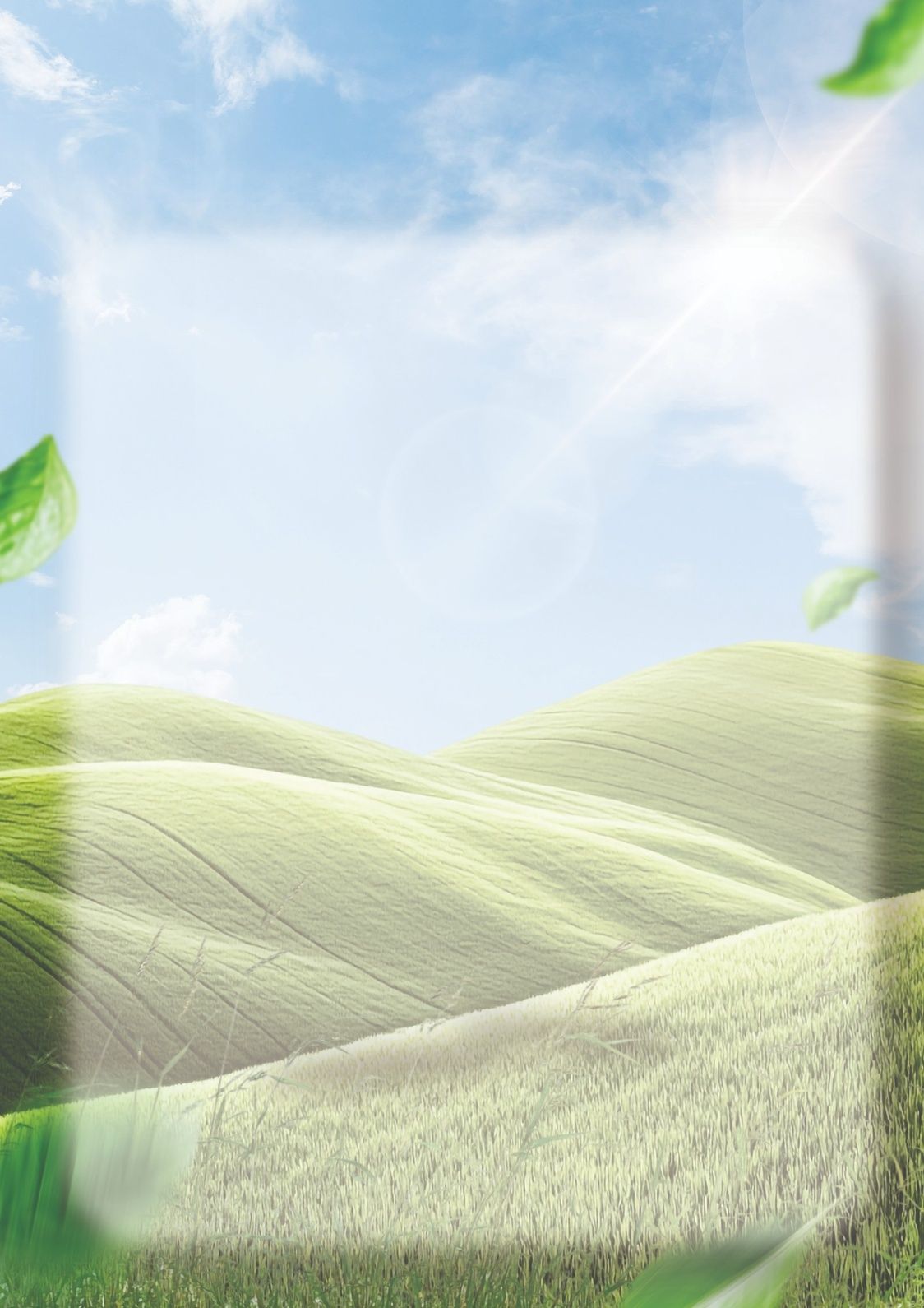 Background design back