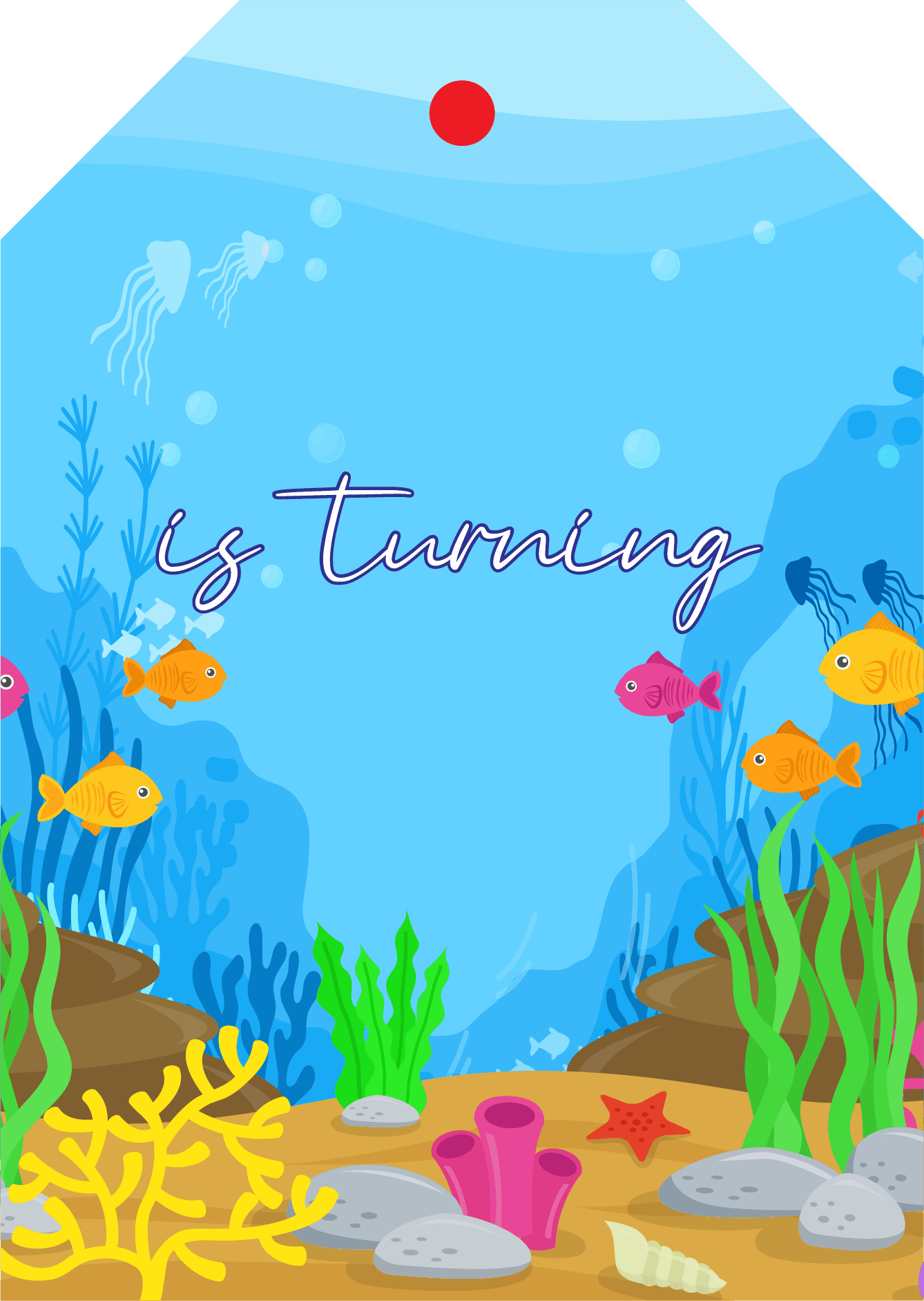 Background Design