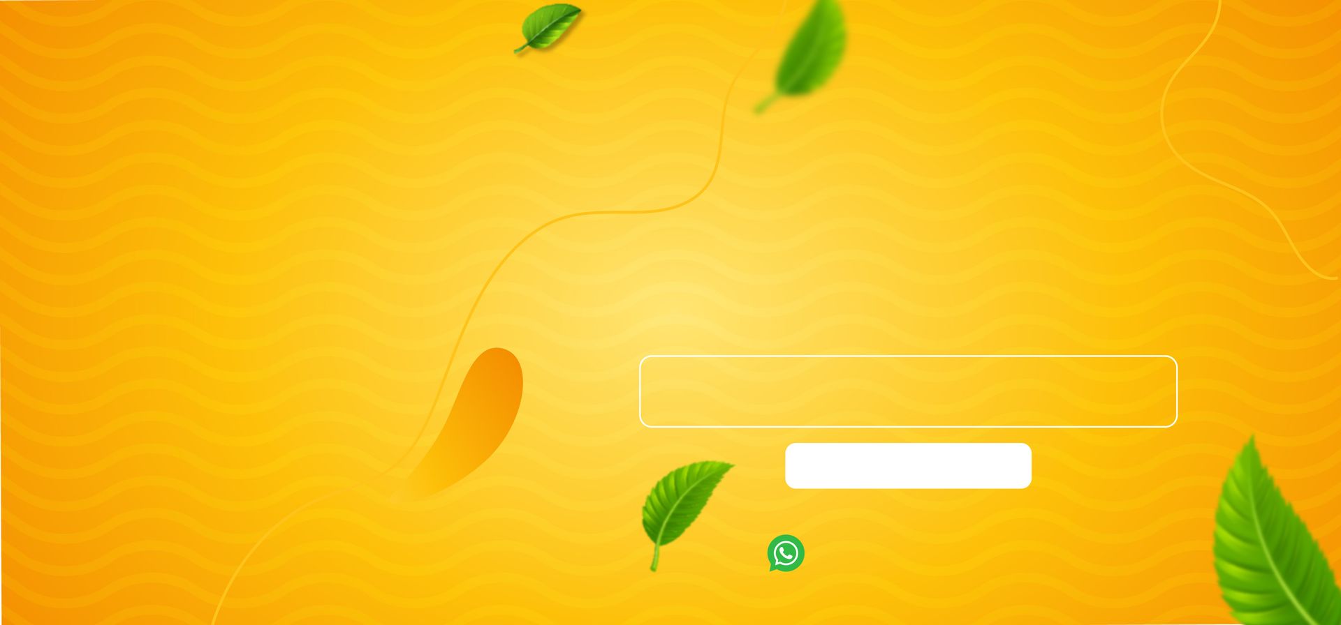 Background Design