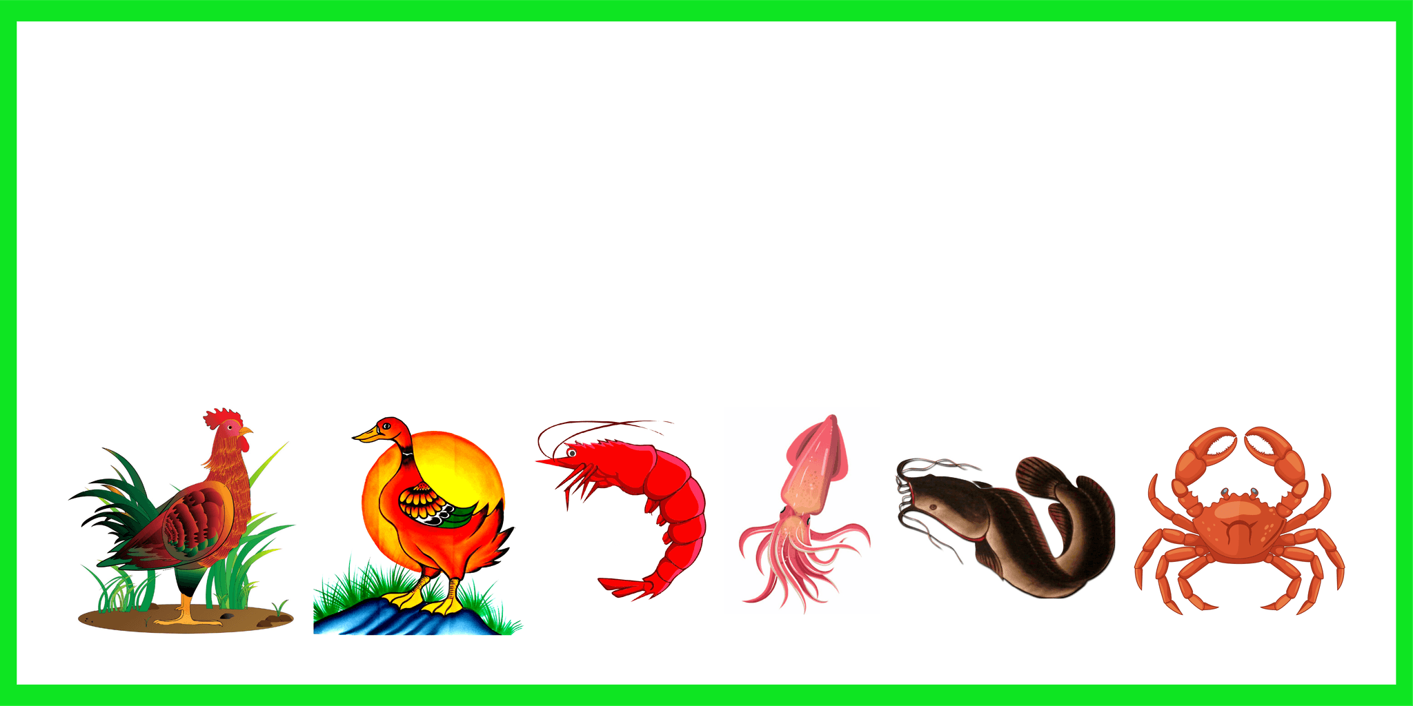 Background Design