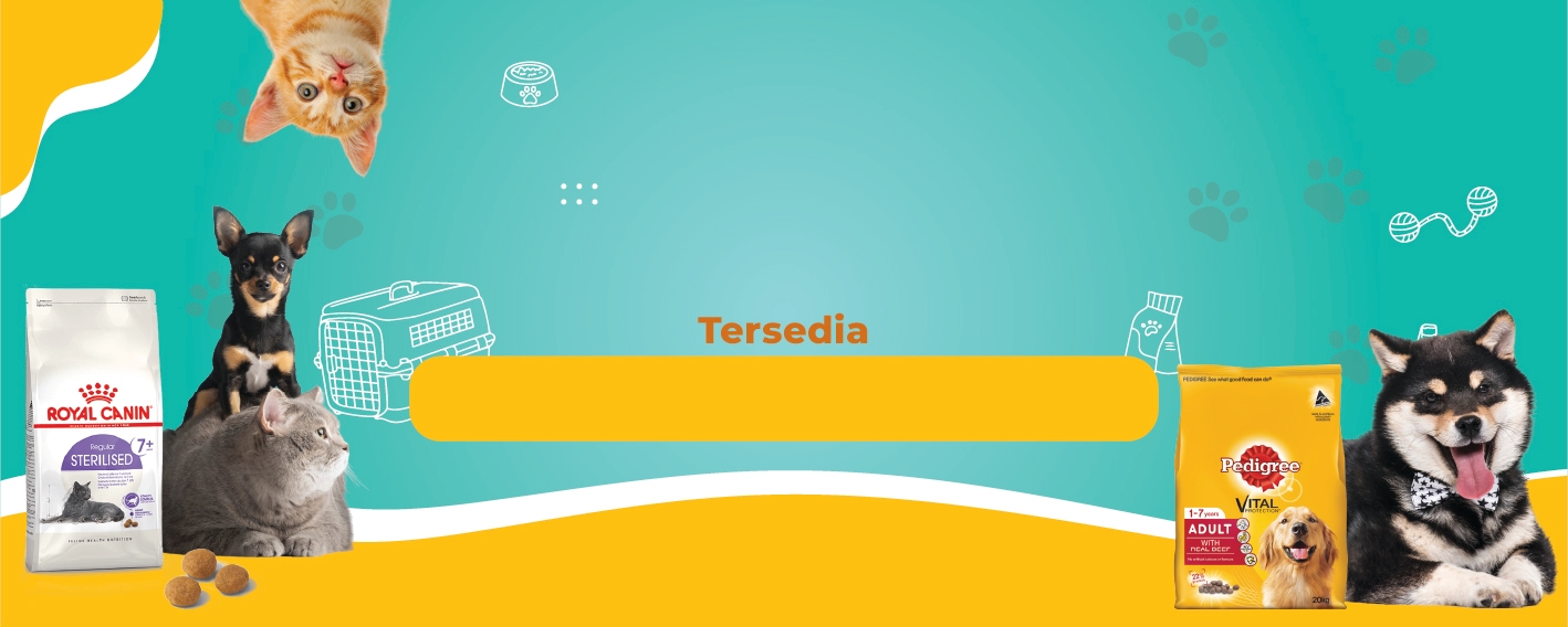 Background Design