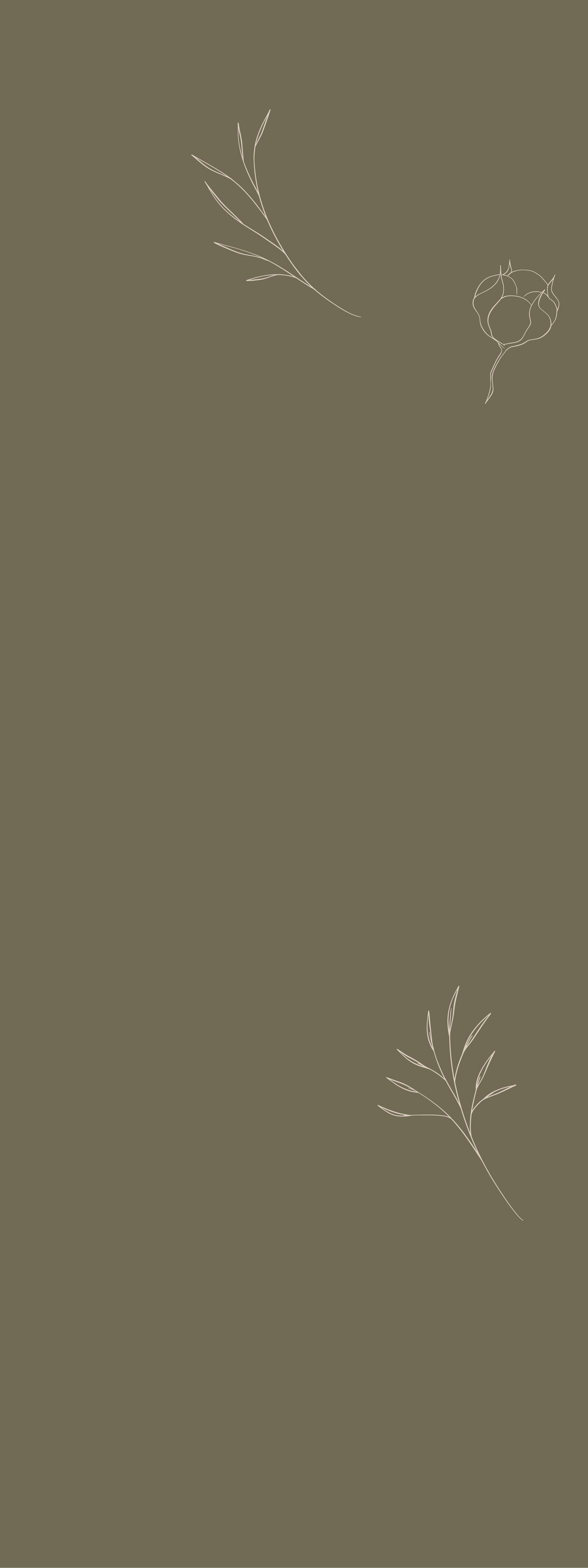 Background Design