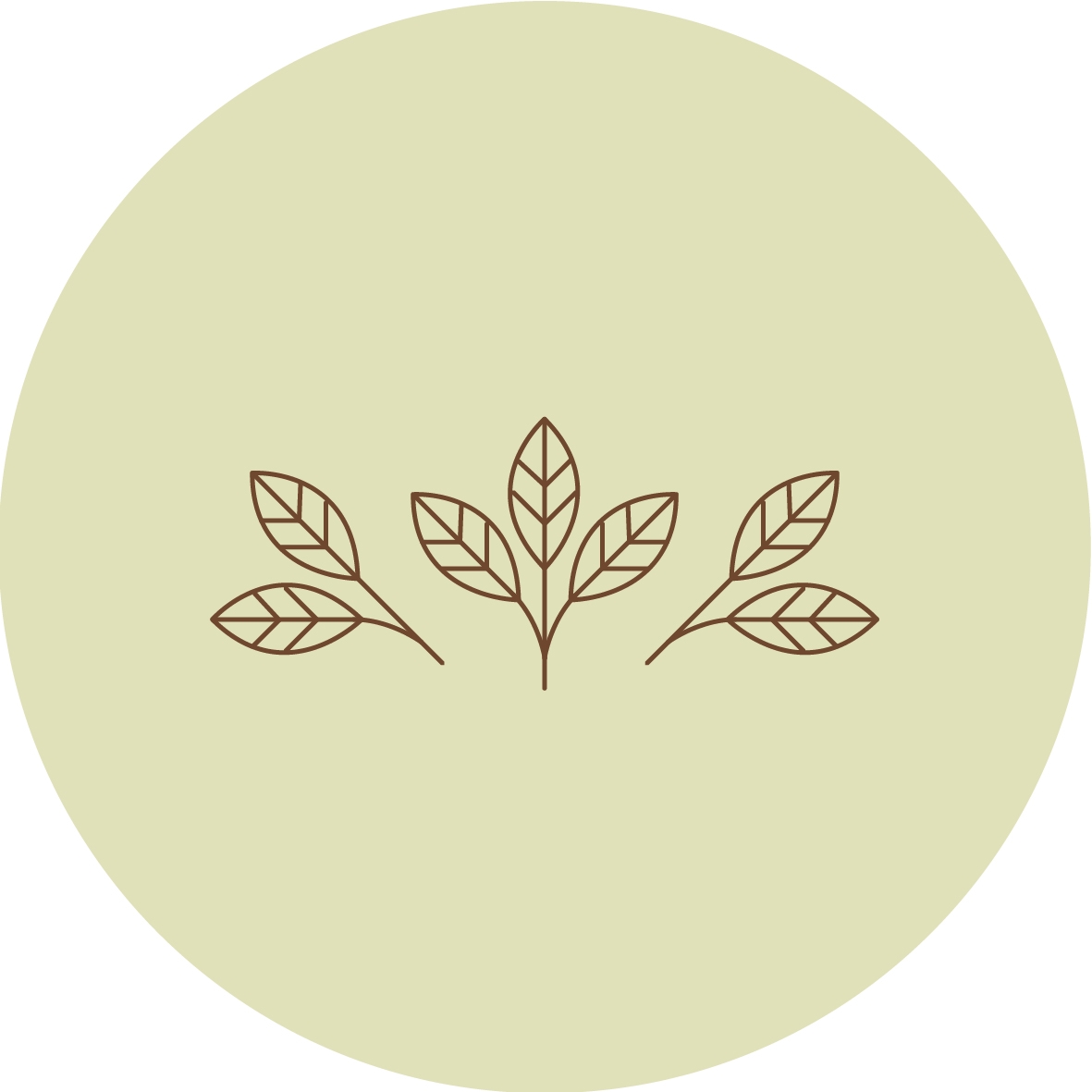 Background Design