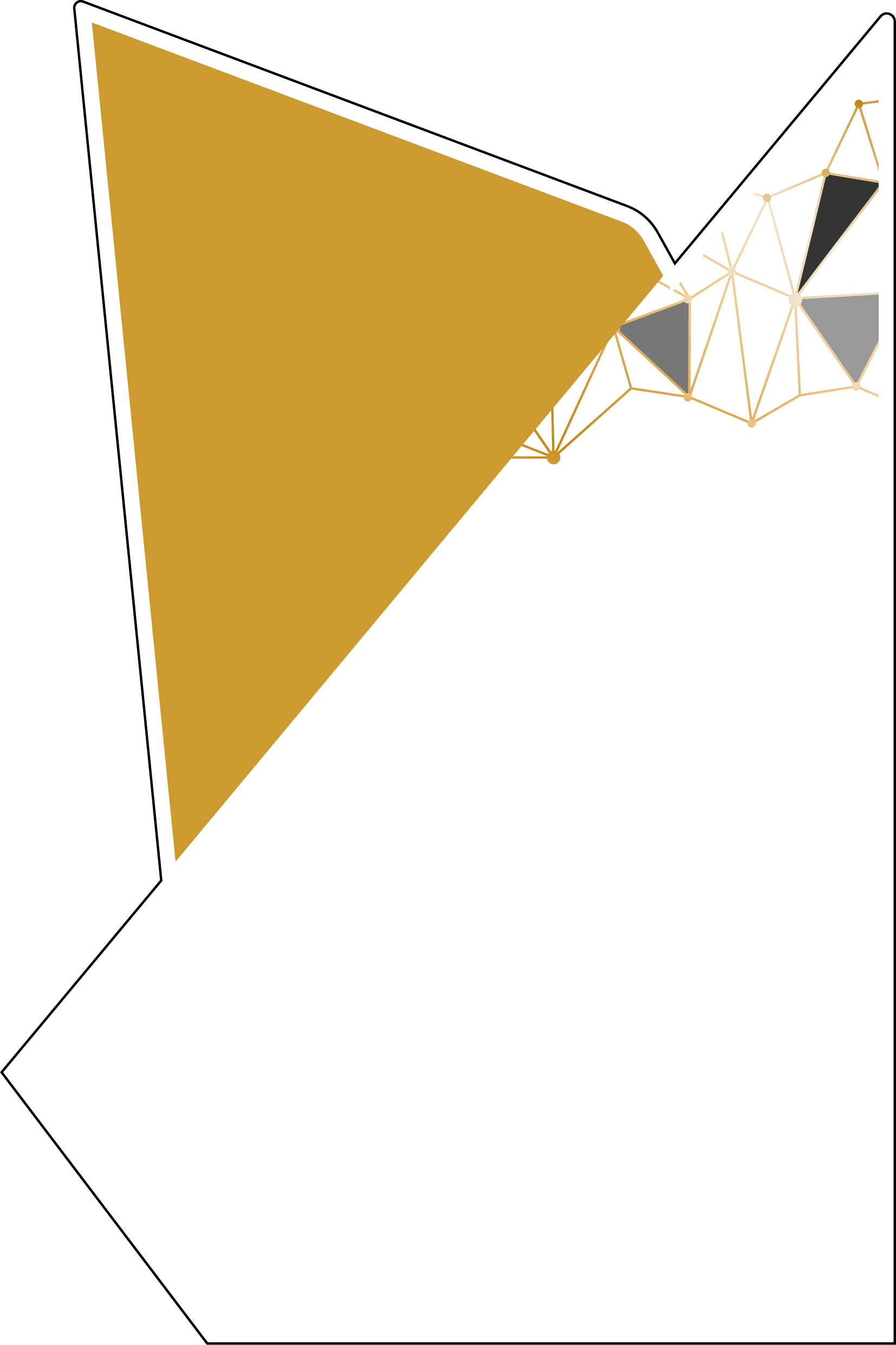 Background Design