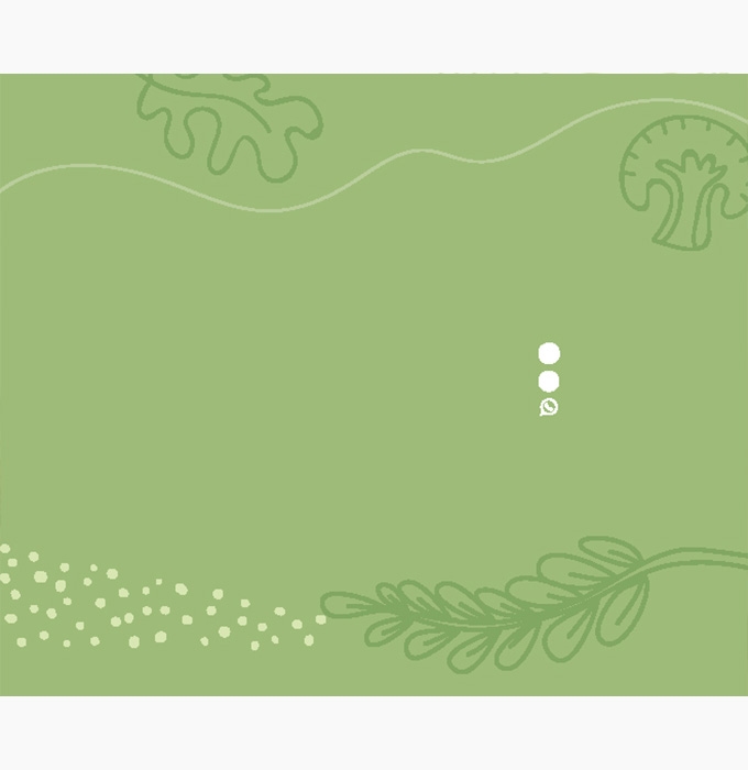 Background Design