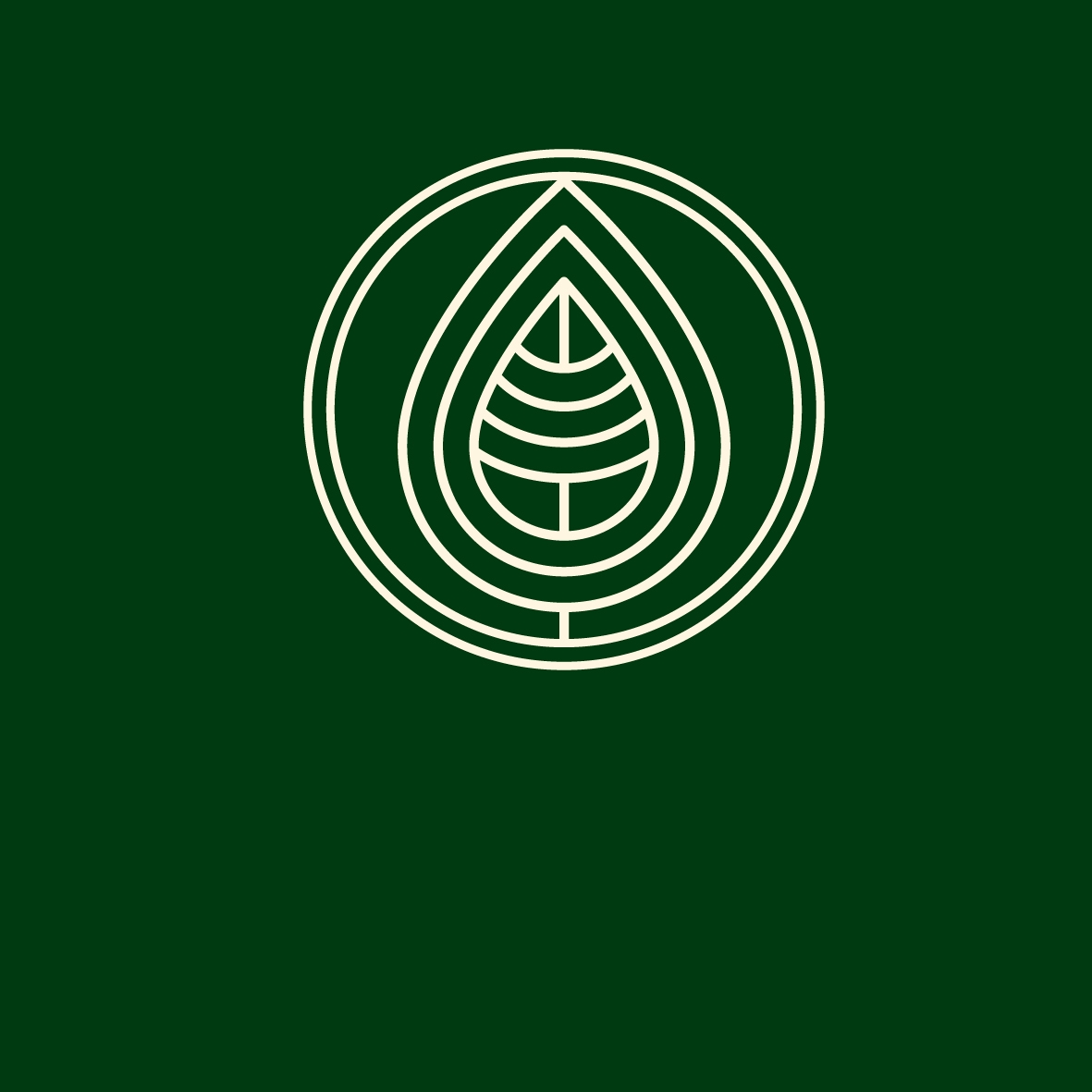 Background Design