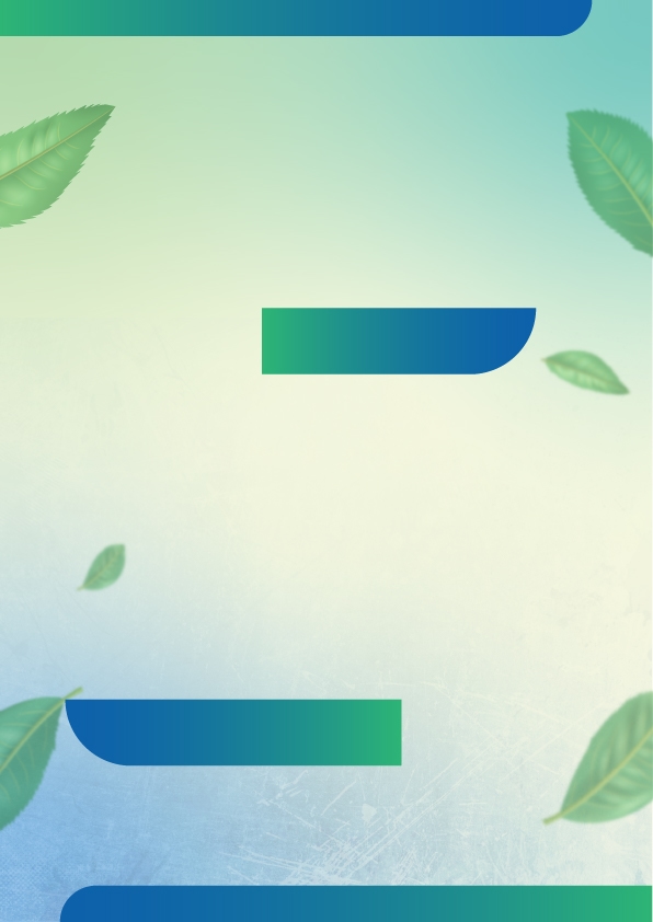 Background Design