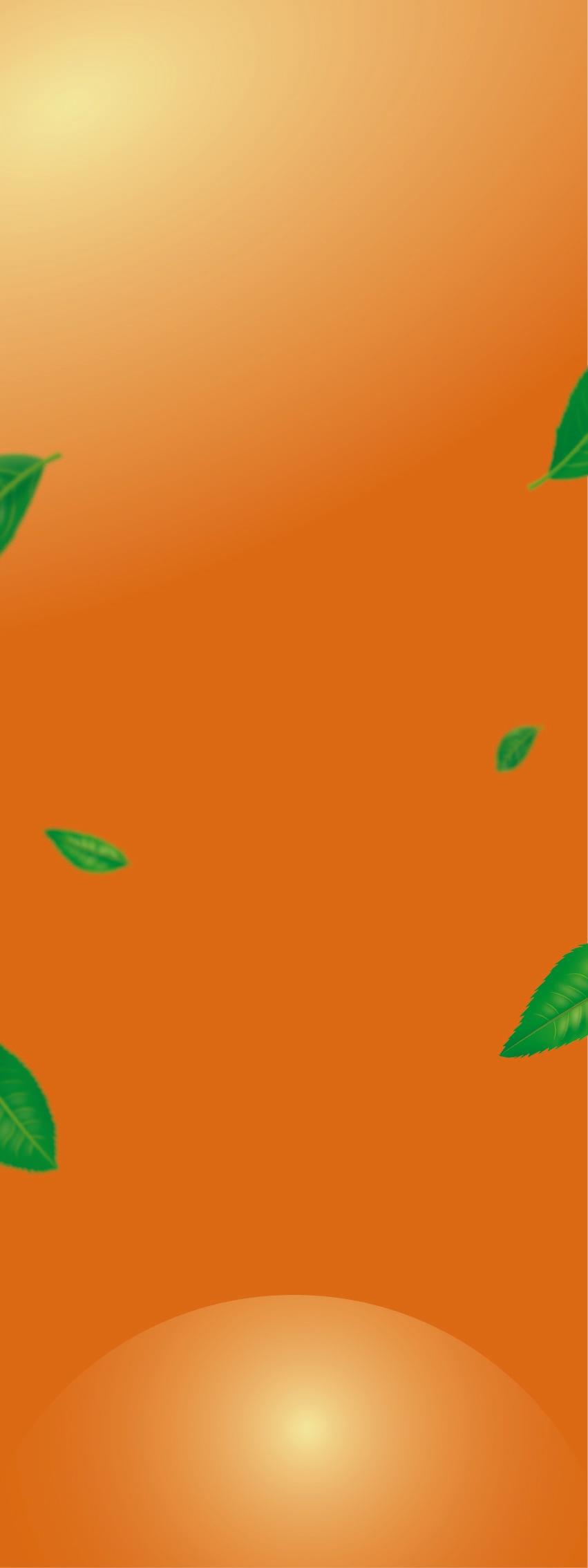 Background Design