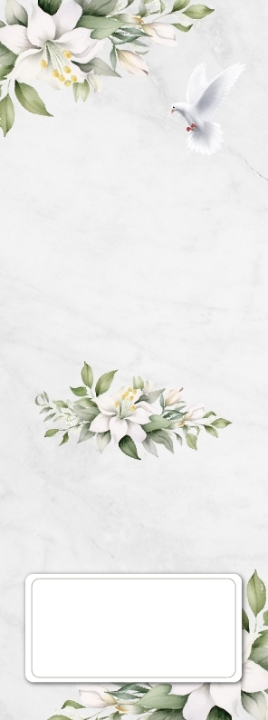 Background Design