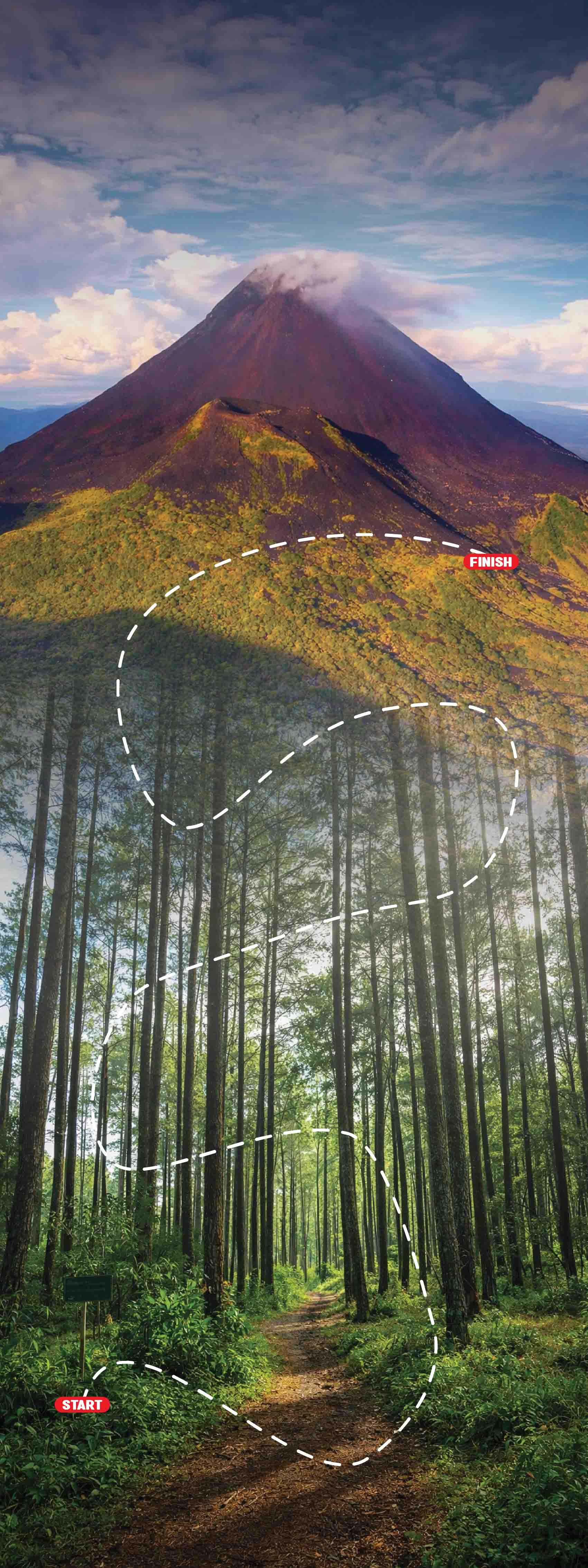 Background Design